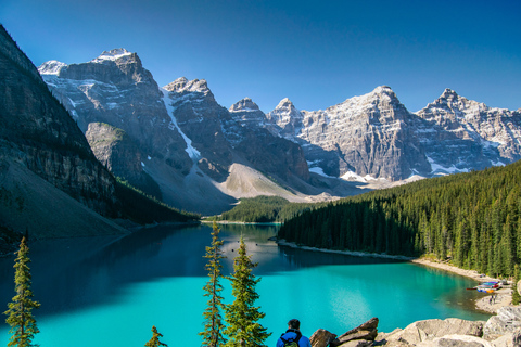 Banff National Park: Hop-on hop-off-buss dagspassBanff nationalpark: Hop-on-Hop-off busspass för en dag