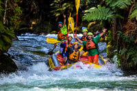 Kaituna River and Tutea Falls Whitewater Rafting - Housity