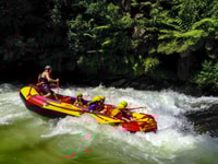 Kaituna River and Tutea Falls Whitewater Rafting - Housity