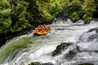 Kaituna River and Tutea Falls Whitewater Rafting - Housity