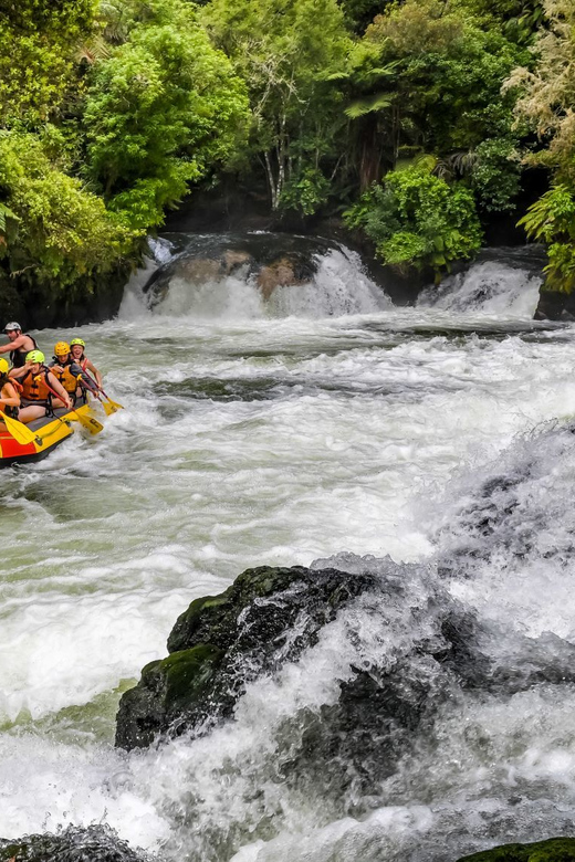 Kaituna River and Tutea Falls Whitewater Rafting | GetYourGuide