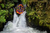 Kaituna River and Tutea Falls Whitewater Rafting - Housity