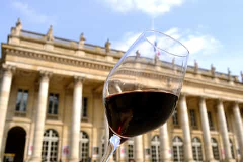 Bordeaux: City and Vineyard Walking Tour with Wine Tasting