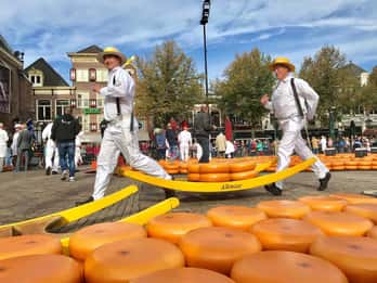 Small Group Alkmaar Cheese Market and City Tour *English*