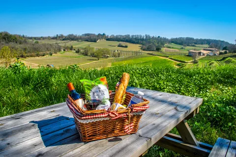 Saint-Emilion : Visite guidée d'un grand cru classé et pique-nique