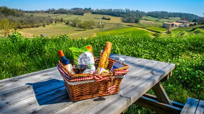 saintemilion guided winery visits and picnic