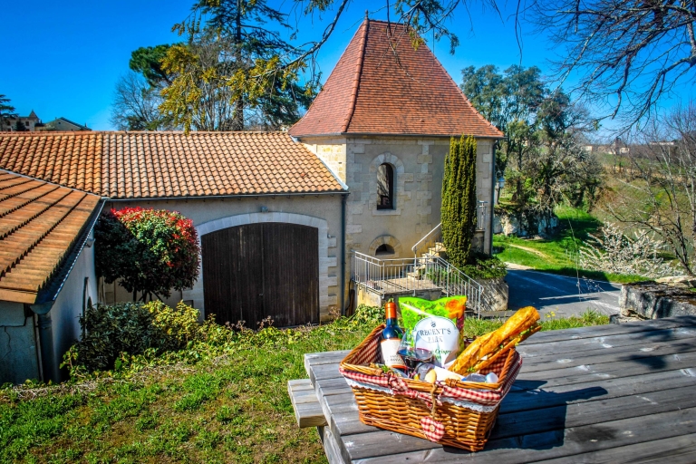 Saint-Emilion: zwiedzanie winnicy z przewodnikiem i piknikWiniarnia w Saint-Emilion: zwiedzanie z przewodnikiem i piknik - francuski