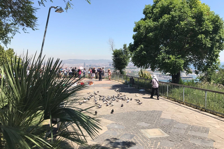 From Salou: Full Day Barcelona Panoramic Tour with Free Time From Salou: Full Day Barcelona Panoramic Tour in French