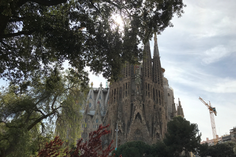 From Salou: Full Day Barcelona Panoramic Tour with Free Time From Salou: Full Day Barcelona Panoramic Tour in French