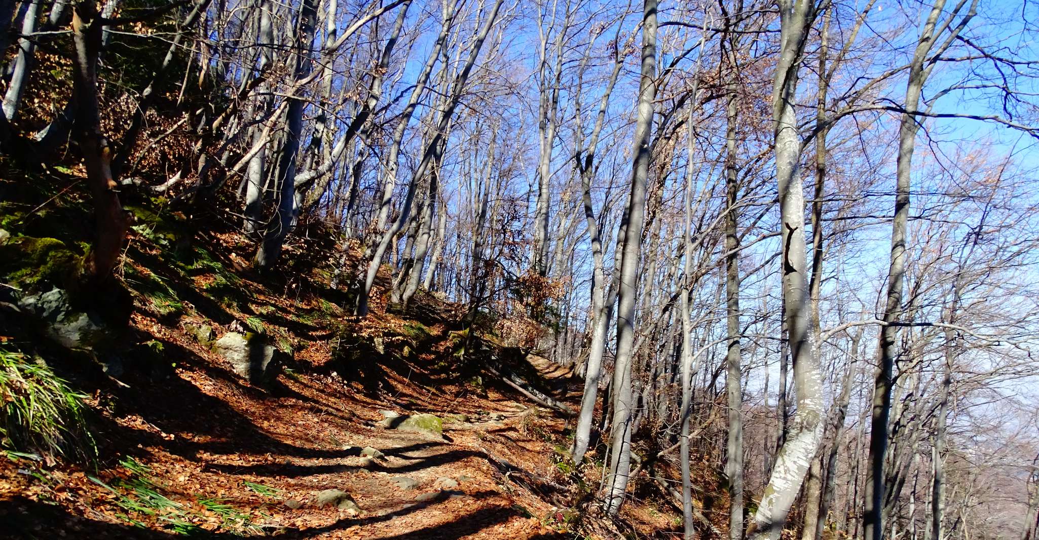 Sofya'dan, Vitosha Dağı'nın Tek Günlük Turu - Hizvo