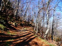 Von Sofia aus, eintägige Tour durch den Vitosha-Berg - Hizvo