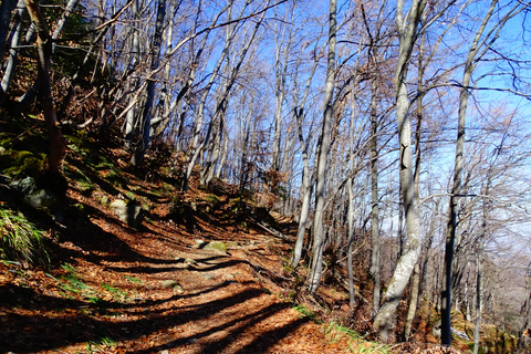 From Sofia: One-Day Tour of Vitosha Mountain