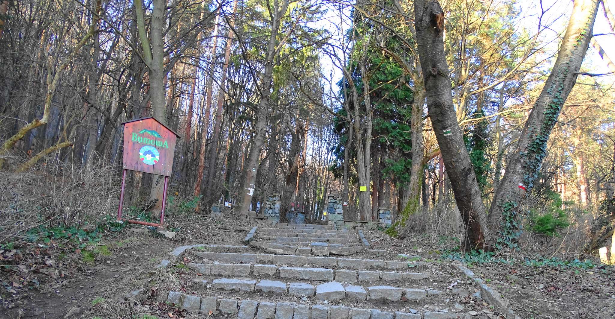 Sofya'dan, Vitosha Dağı'nın Tek Günlük Turu - Hizvo
