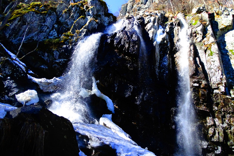 From Sofia: One-Day Tour of Vitosha Mountain