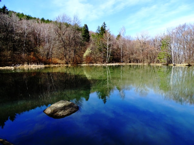 From Sofia: One-Day Tour of Vitosha Mountain