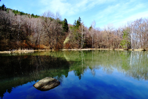 From Sofia: One-Day Tour of Vitosha Mountain