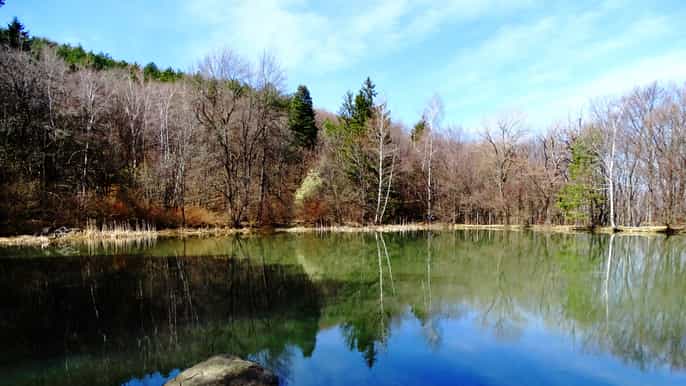 from sofia oneday tour of vitosha mountain