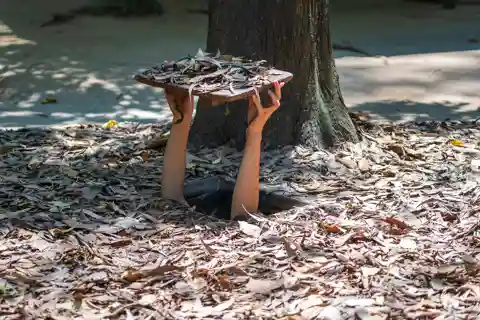 From Ho Chi Minh: Cu Chi Tunnels and Mekong Delta 3-Day Tour
