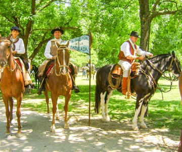 De Buenos Aires: Excursão de um dia ao Gaucho e ao Rancho