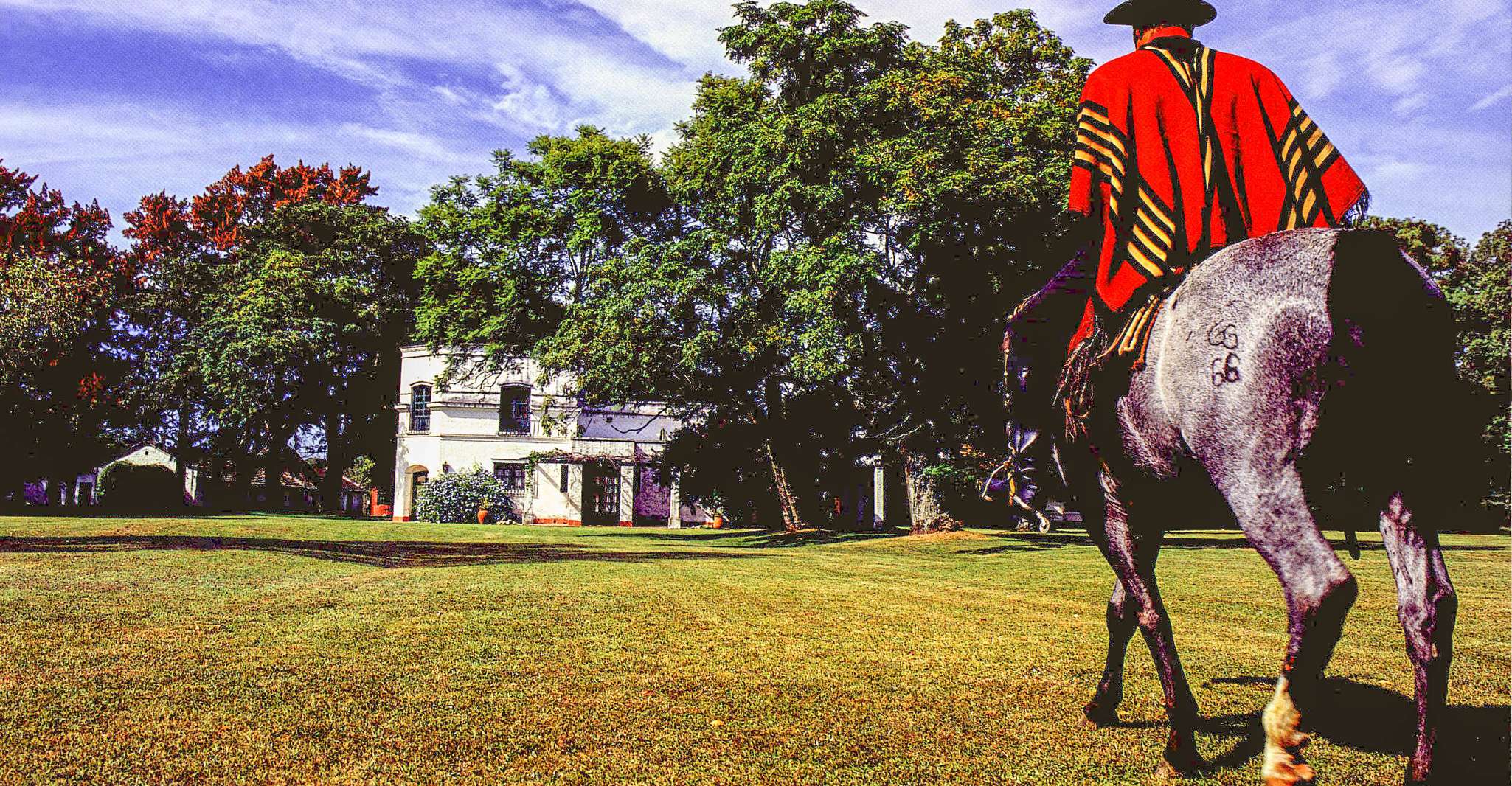 From Buenos Aires, Gaucho and Ranch Day Tour - Housity