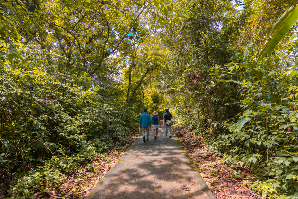 Parco Nazionale Del Vulcano Arenal Per Piccoli Gruppi E Tour Ecologico