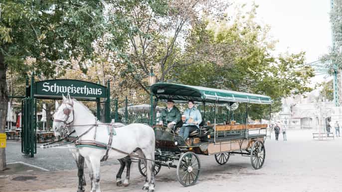 vienna horse carriage ride with ferris wheel or lunch