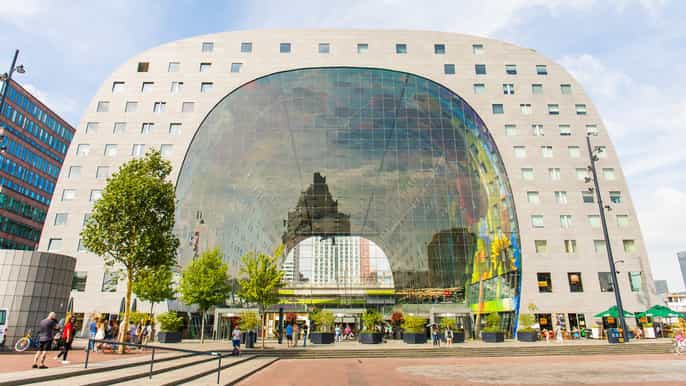 from amsterdam rotterdam delft the hague fullday tour