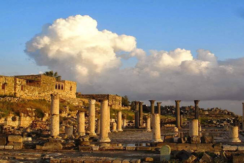 Private Full Day Trip of Umm Qais, and Pella from Amman TOUR ONLY