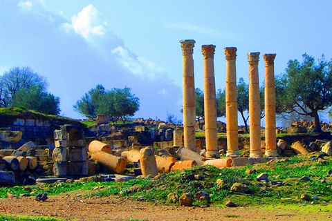 Excursion privée d&#039;une journée à Umm Qais et Pella au départ d&#039;AmmanTOUR SEULEMENT