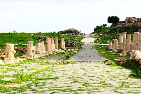 Excursion privée d&#039;une journée à Umm Qais et Pella au départ d&#039;AmmanTOUR SEULEMENT