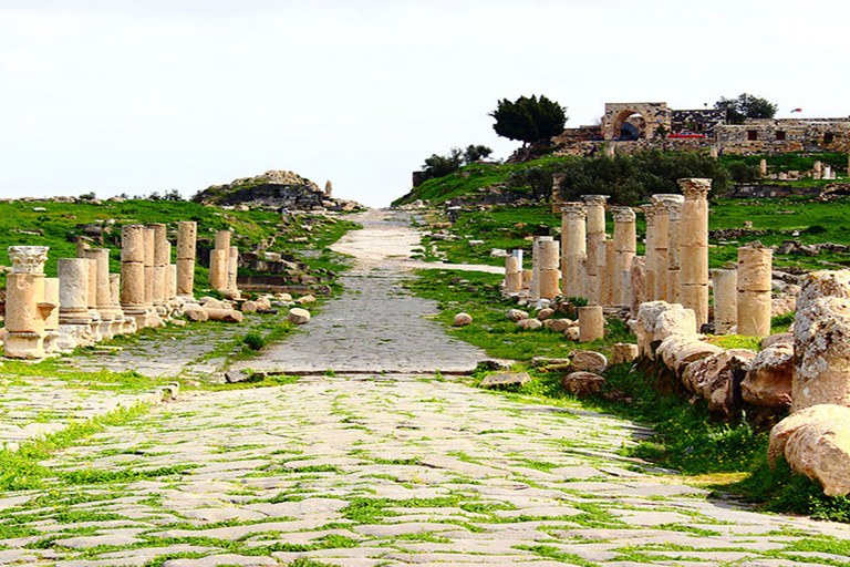 Excursion privée d&#039;une journée à Umm Qais et Pella au départ d&#039;AmmanTOUR SEULEMENT