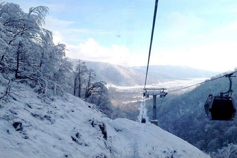 De Bakou: excursion d'une journée à Gabala