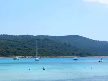 Från Vir: Guidad dagsutflykt till Sakarun Beach