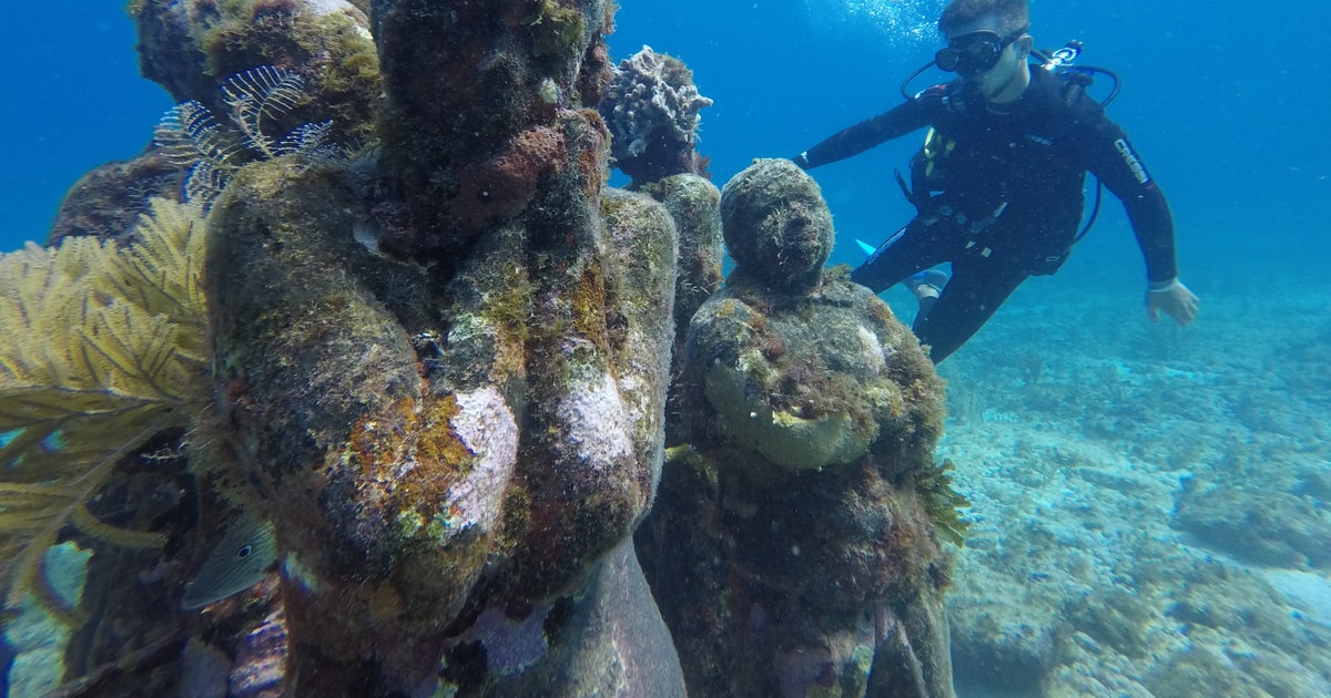 Cancun Beginners Underwater Museum & Reef Scuba Diving GetYourGuide