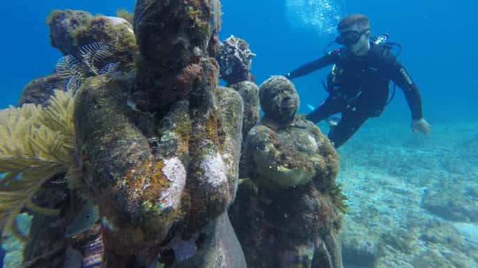 depuis cancún plongée pour débutants et musée sousmarin
