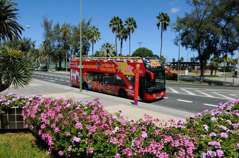 Las Palmas: City Sightseeing Hop-On Hop-Off Bus Tour