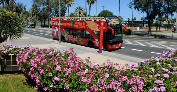 Las Palmas: City Sightseeing Hop-On Hop-Off Bus Tour