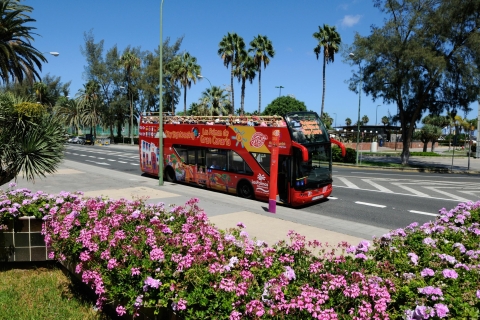 Las Palmas : Billet 24 h pour le bus à arrêts multiplesLas Palmas : billet 24 h pour les bus à arrêts multiples
