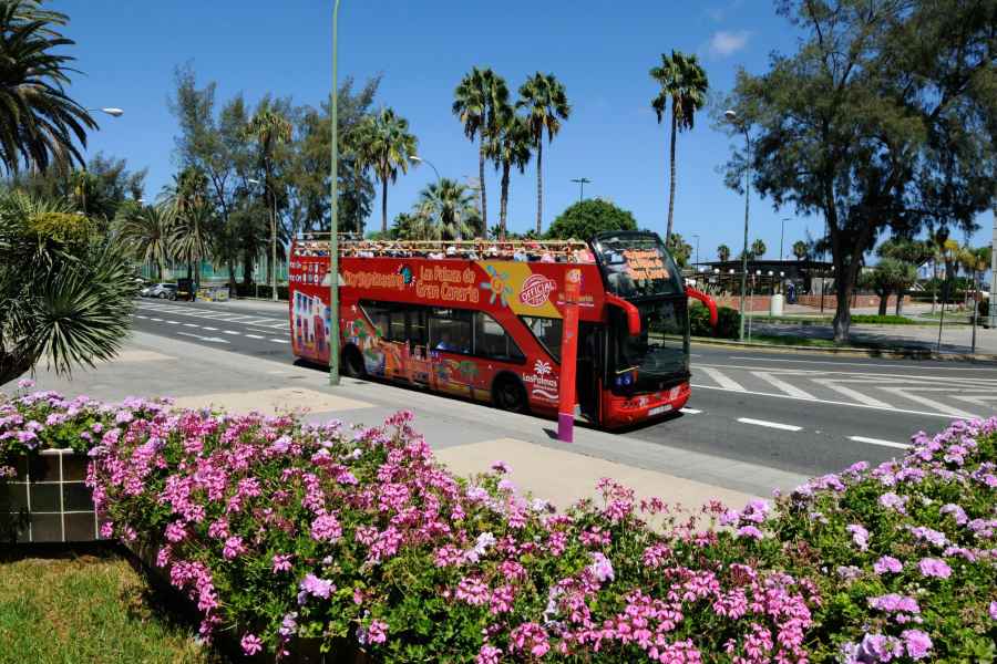 Las Palmas: Stadtbesichtigung Hop-On/Hop-Off-Bustour. Foto: GetYourGuide