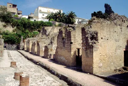 Neapel: Pompeji, Herculaneum und Vesuv Tour mit dem Minivan