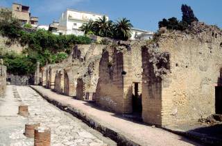 Neapel: Pompeji, Herculaneum und Vesuv Tour mit dem Minivan