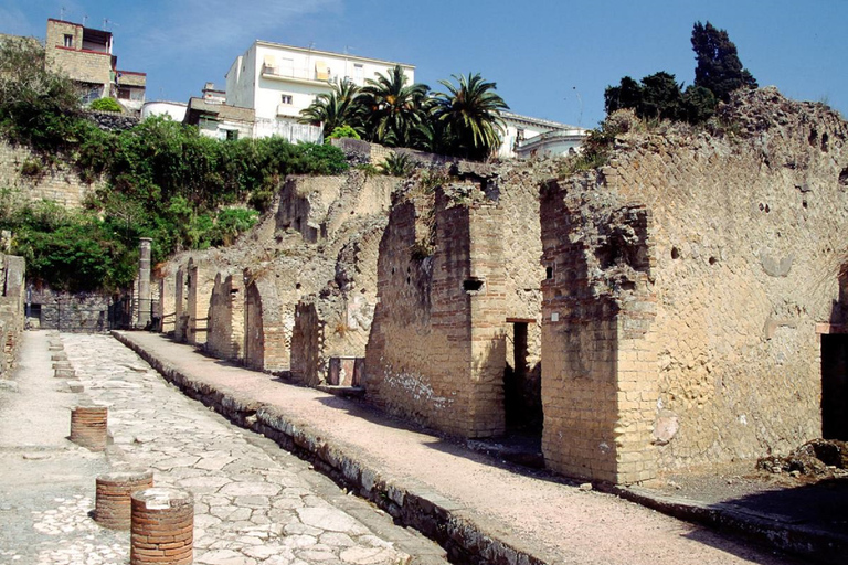 Naples: Pompeii, Herculaneum and Vesuvius Tour in Luxury Bus