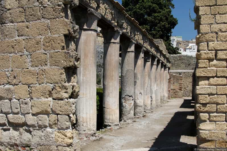 Naples: Pompeii, Herculaneum, And Vesuvius Tour By Minivan | GetYourGuide