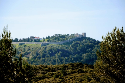 Lisbonne: visite de la ville du sud et visite culturelle avec vinDemi-journée au parc naturel d'Arrábida avec dégustation de vin