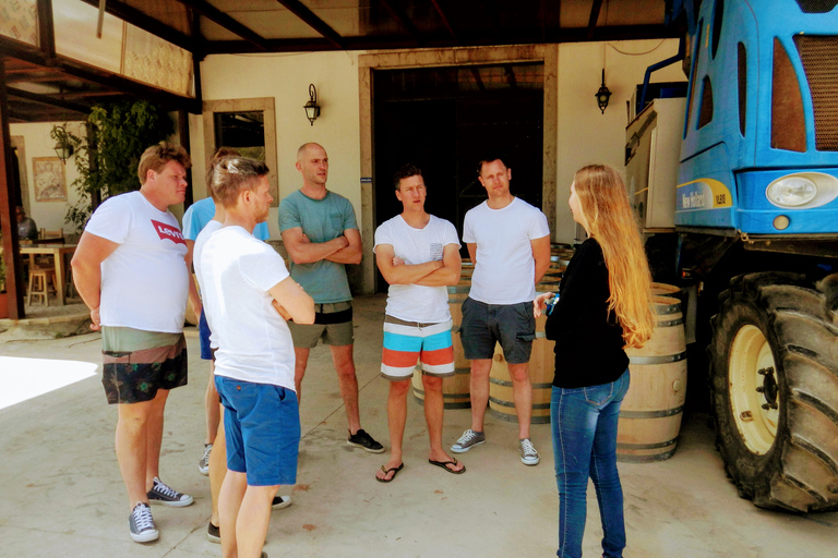 Lisbonne: visite de la ville du sud et visite culturelle avec vinJournée complète au parc naturel d'Arrábida avec dégustation de vin