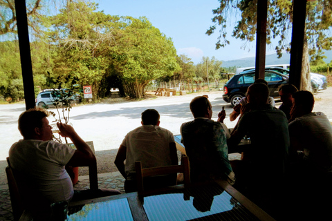 Lisboa: vistas de la ciudad del sur y recorrido cultural con vinoParque Natural Arrábida de medio día con degustación de vinos.