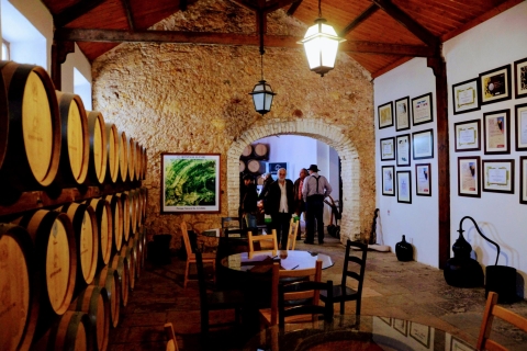 Lisbonne: visite de la ville du sud et visite culturelle avec vinDemi-journée au parc naturel d'Arrábida avec dégustation de vin