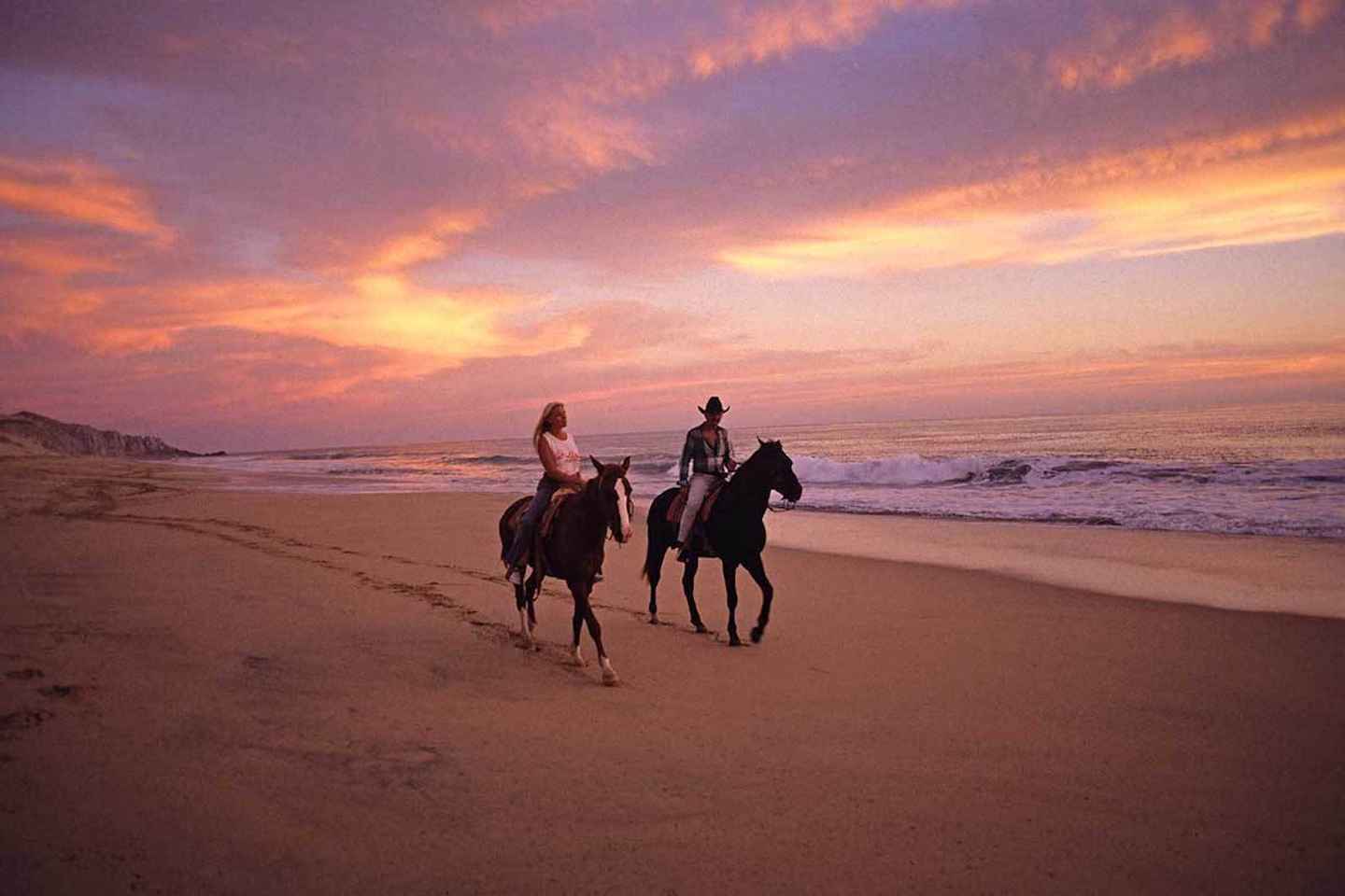 go horseback riding along the coastline of djerba