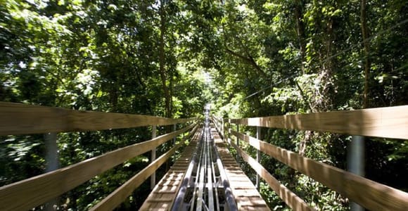 Jamaica Bobsled and Zip Line Adventure Tour