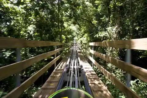 Jamaica Bobslee en Zip Line Avonturentour